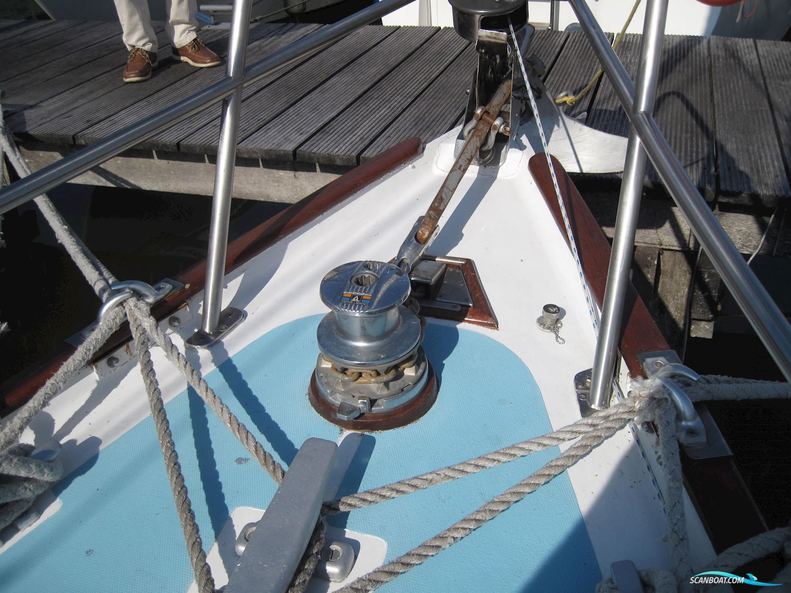 Rustler 31