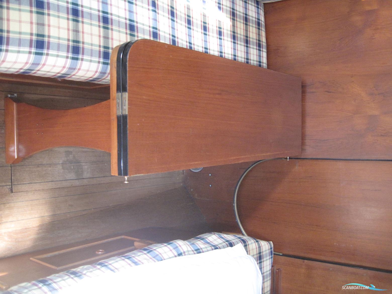 Rustler 31