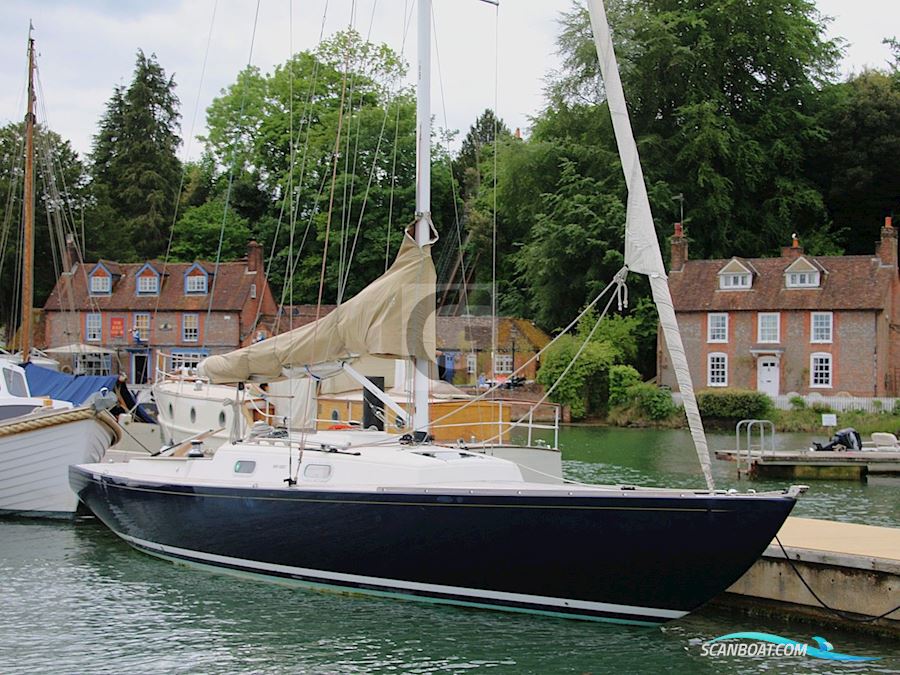 Rustler 33