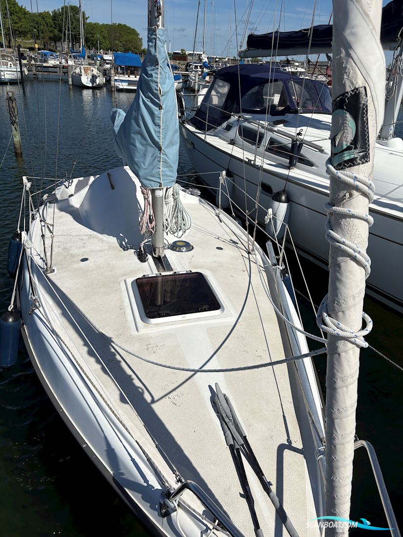 Sagitta 20