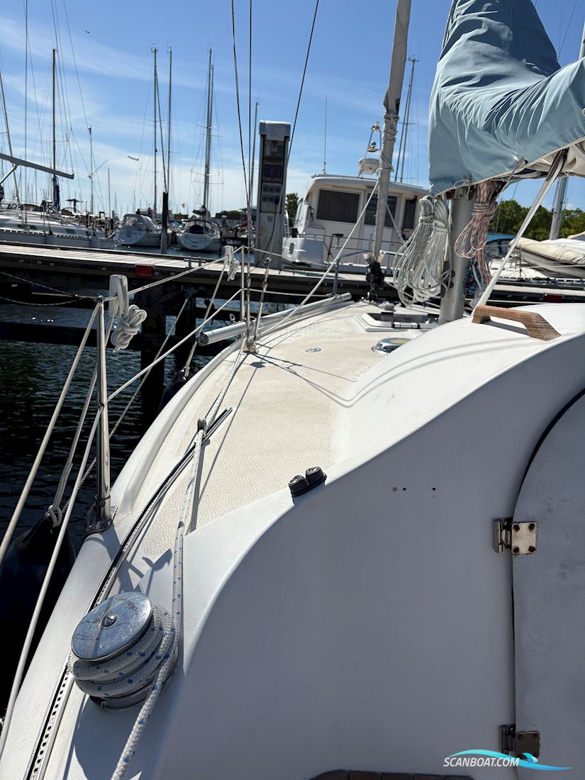 Sagitta 20