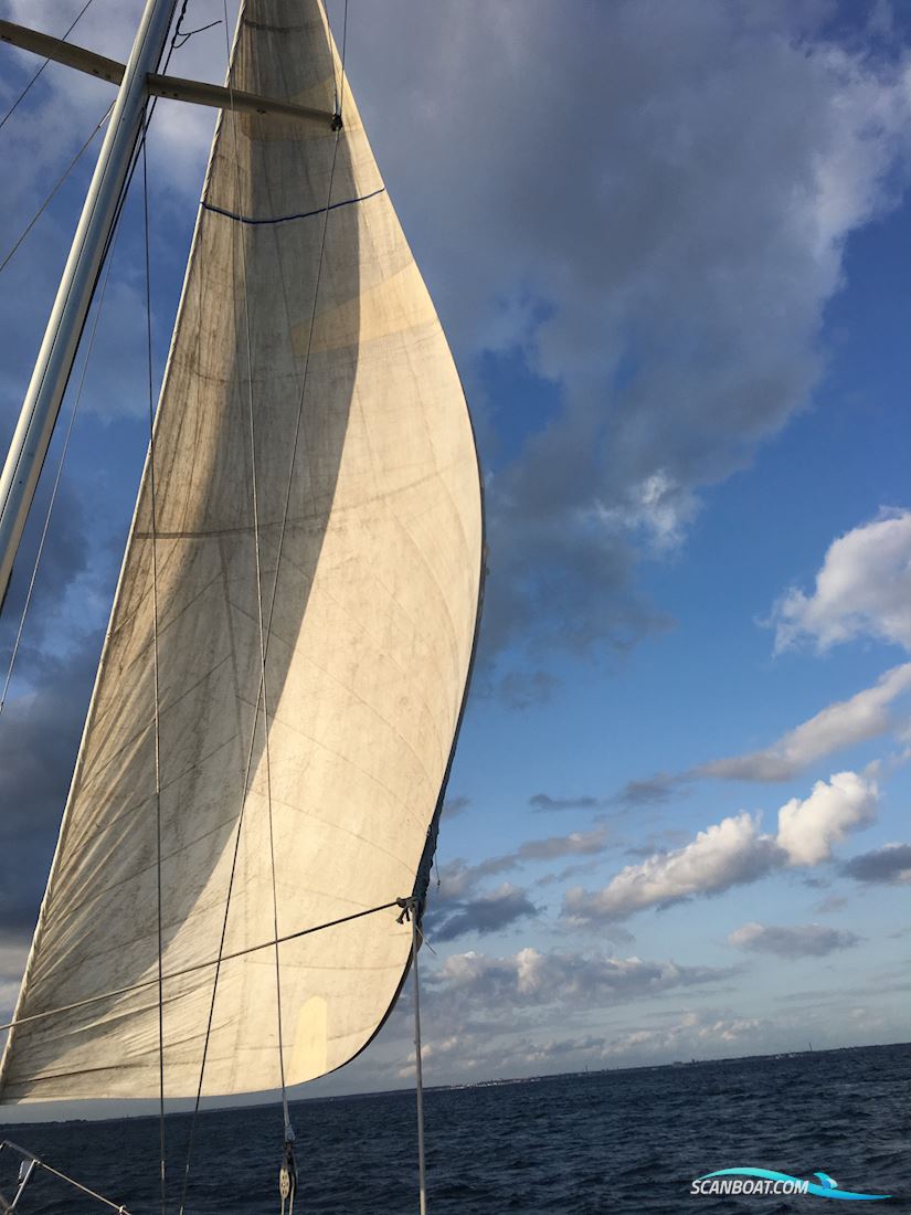 Sagitta 35