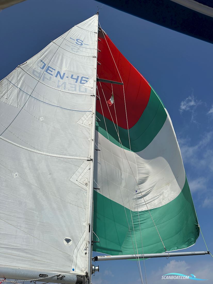 Sagitta 35