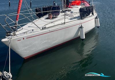 Scampi 30 Segelboot 1977, mit Yanmar YSB12G  motor, Dänemark