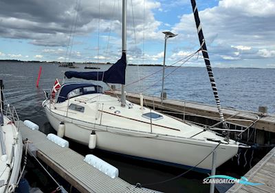 Scampi 30 Segelboot 1980, mit Nanni motor, Dänemark