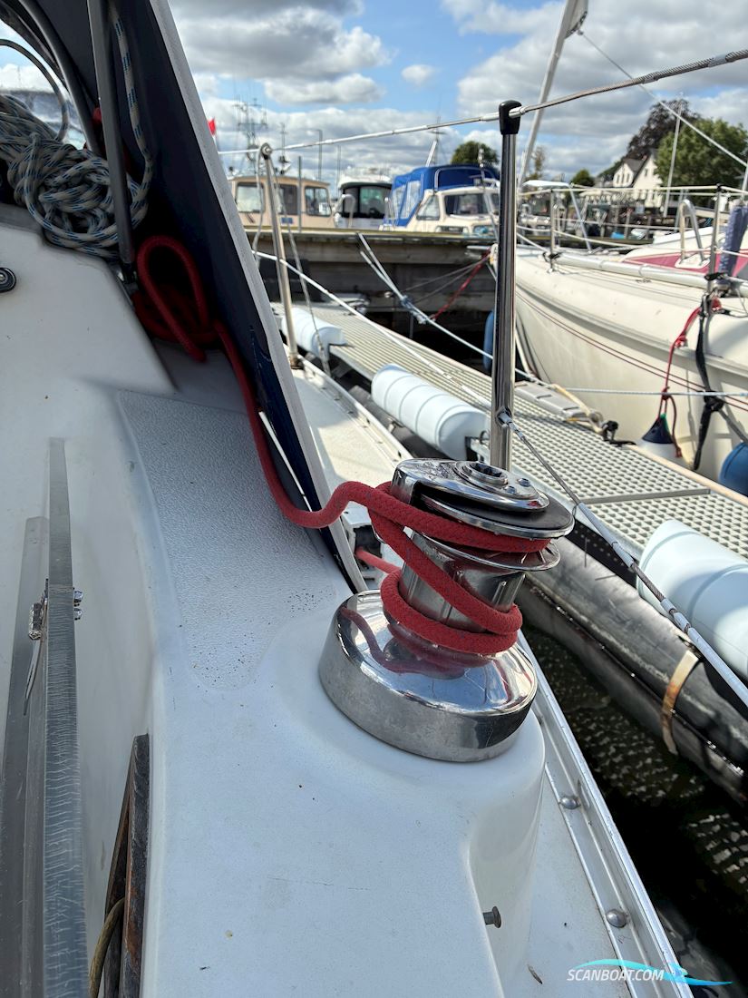 Scampi 30