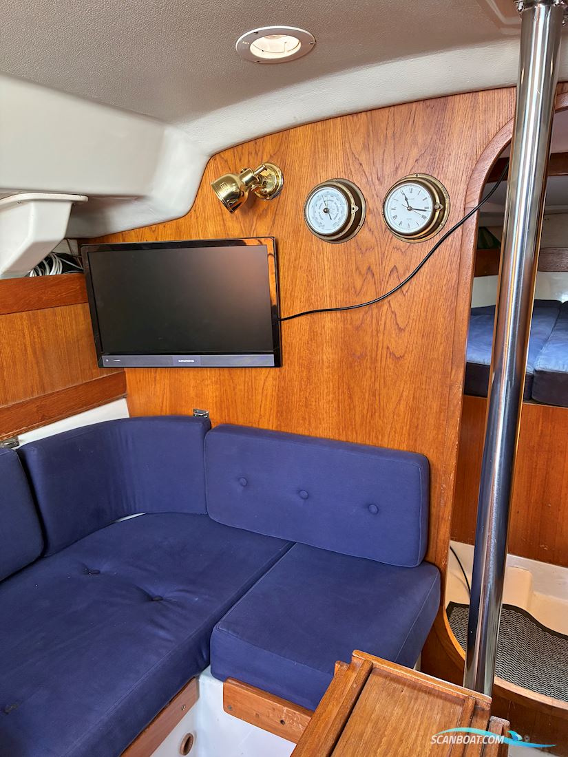 Scampi 30