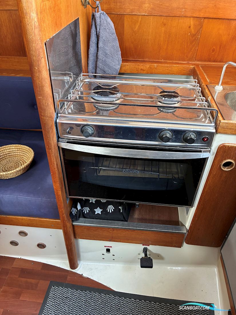 Scampi 30