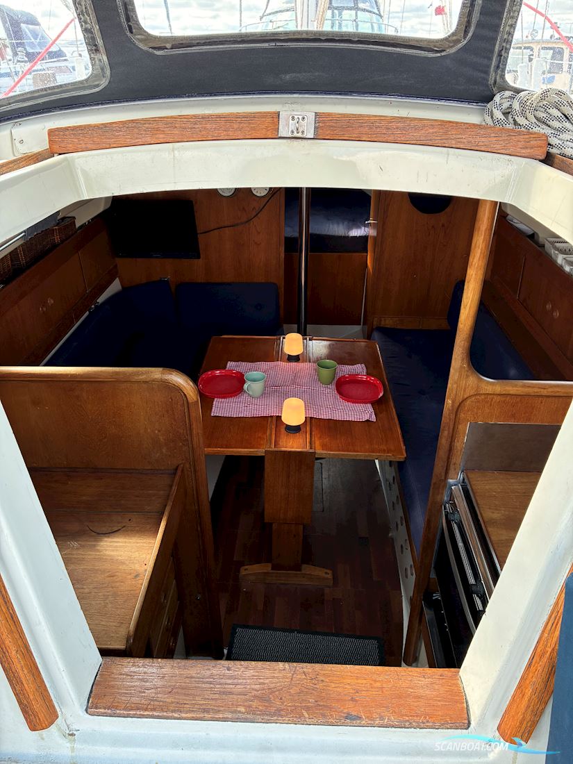 Scampi 30