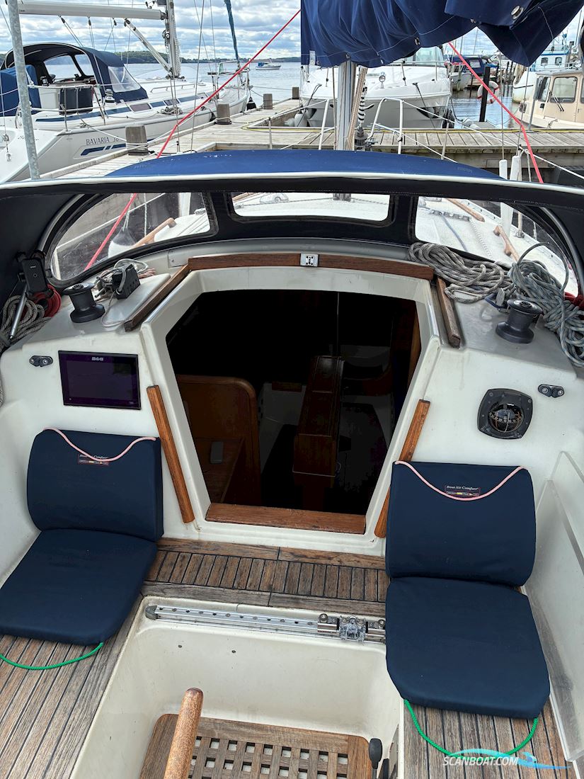 Scampi 30