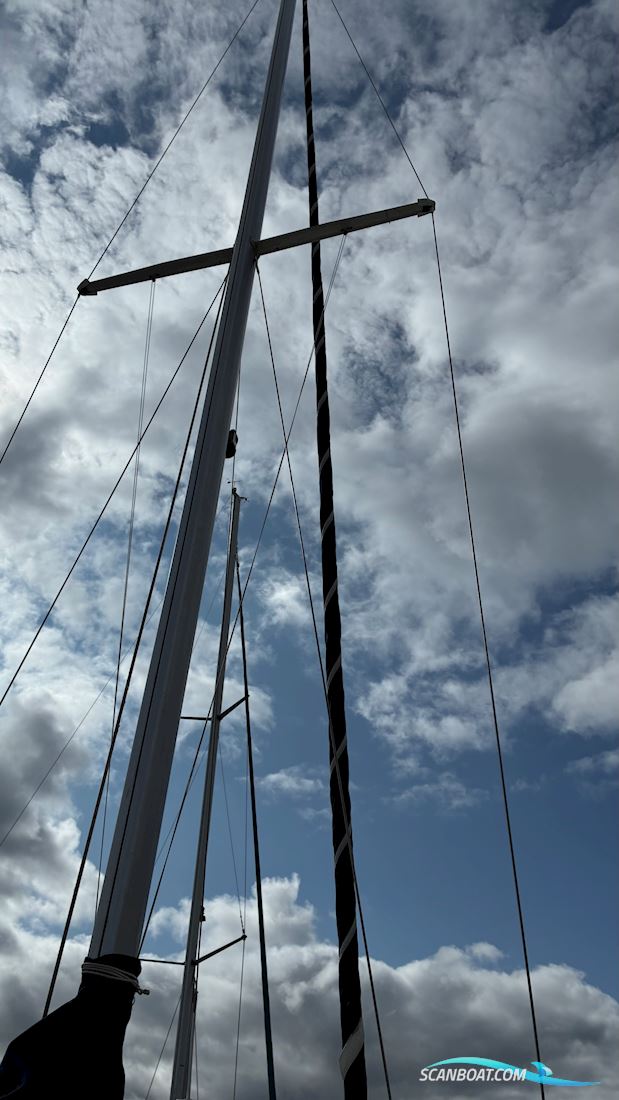 Scampi 30