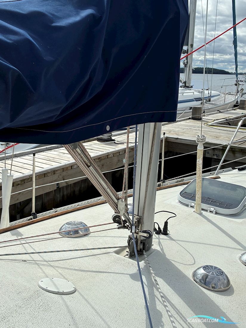 Scampi 30