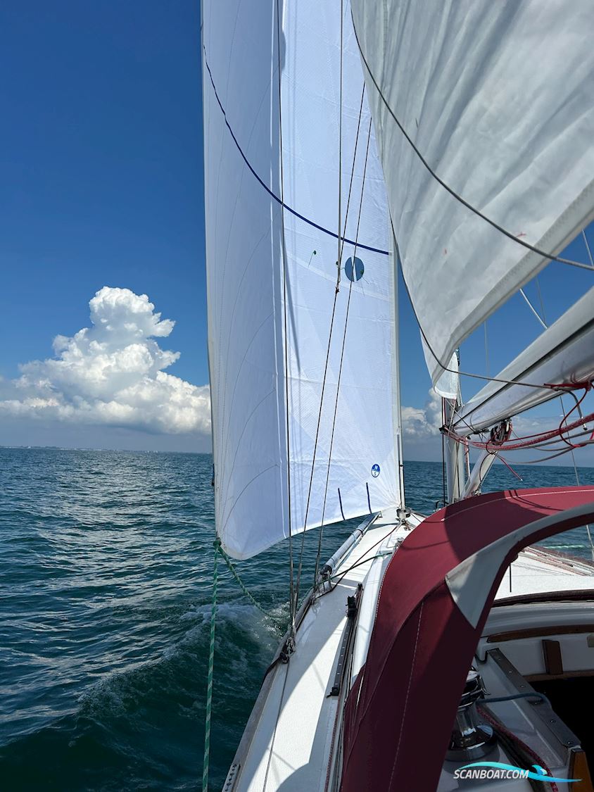 Scandinavia Lotus S40 Schärenkreuzer