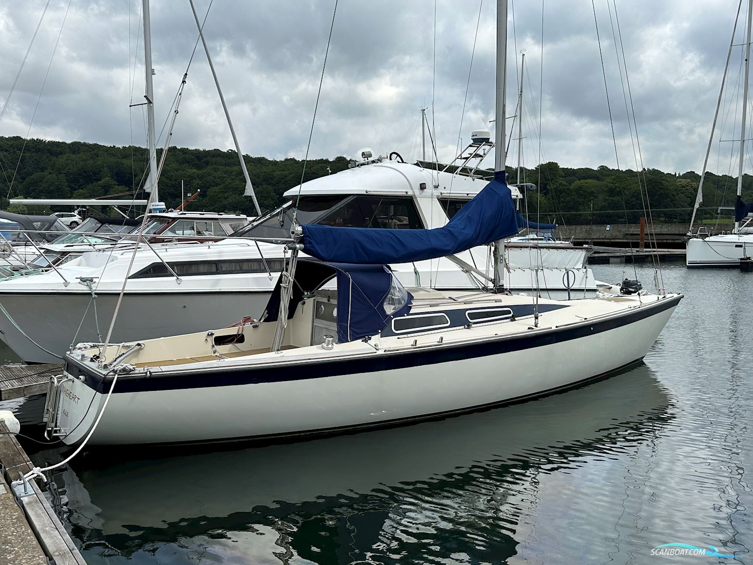 Scankap 99 Segelboot 1981, mit Yanmar  motor, Dänemark