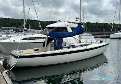 Scankap 99 Segelboot 1981, mit Yanmar  motor, Dänemark