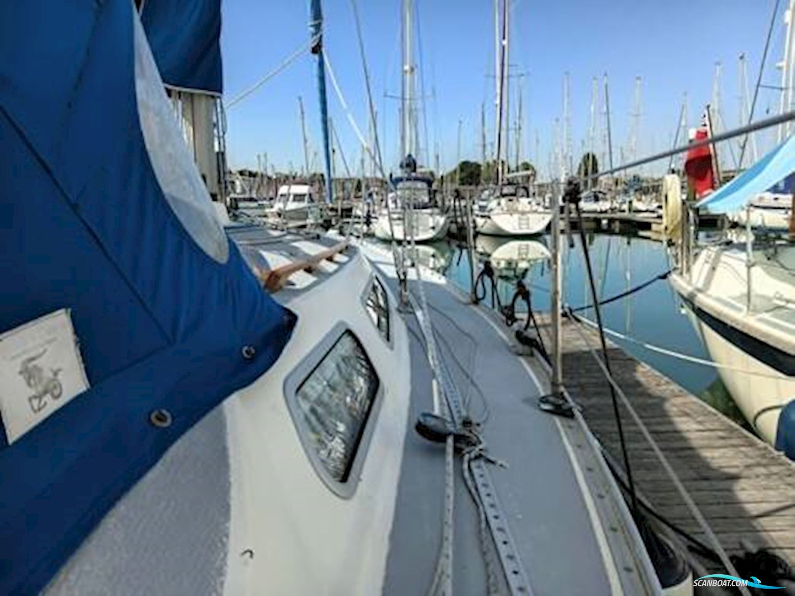Scanmar 33