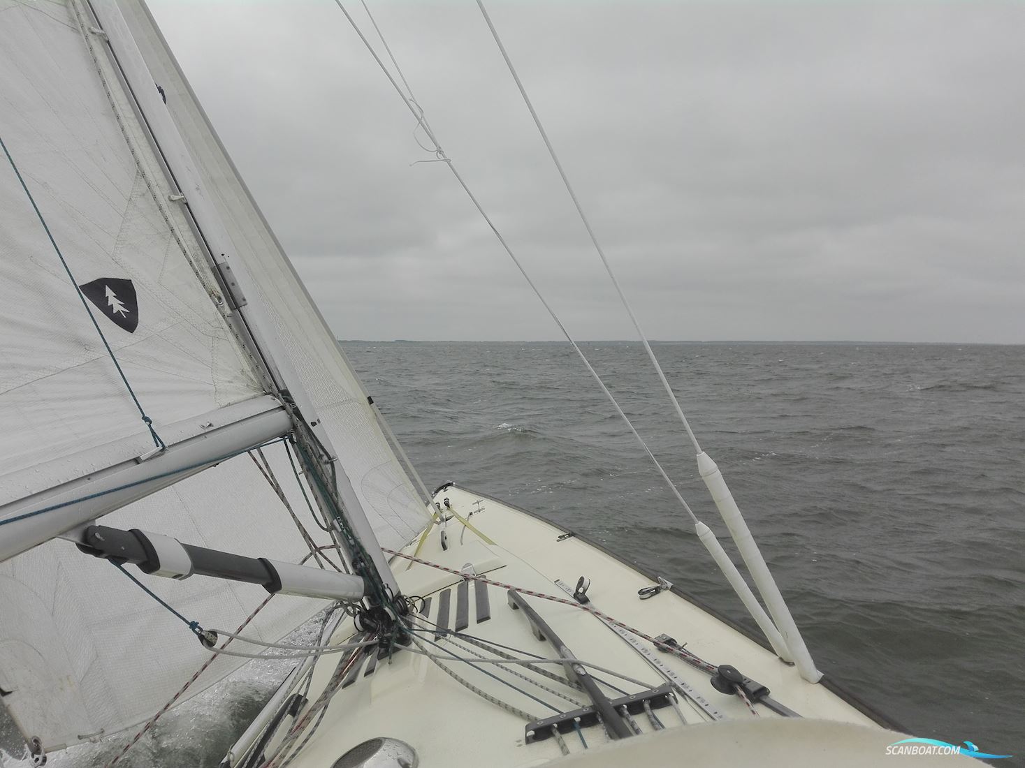 Schärenkreuzer Lotus 40