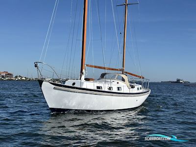 Seadog 30 Segelboot 1973, Niederlande