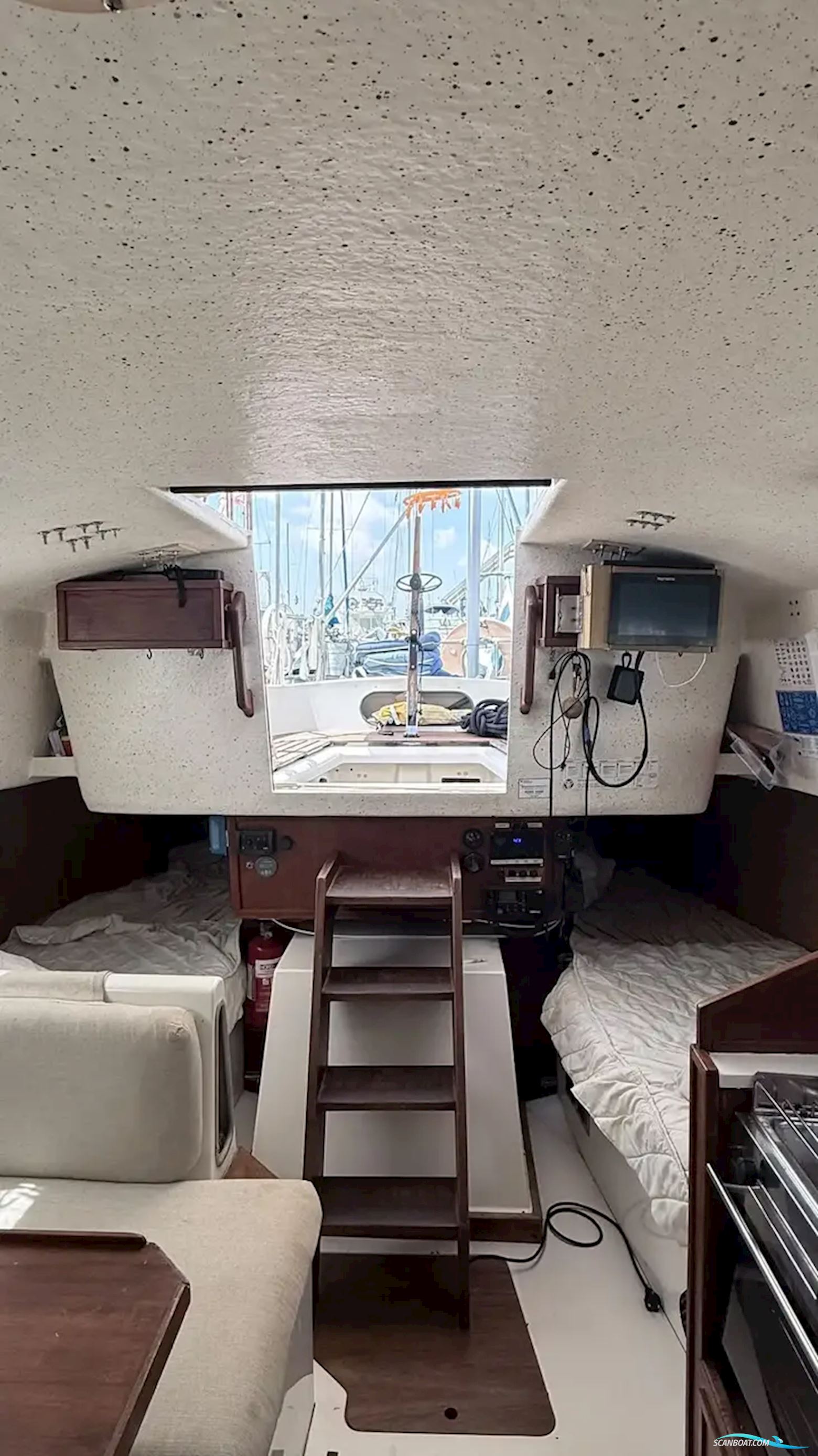 Segmo Semona 30