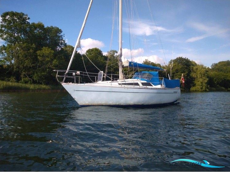 Sejlbåd (Cobra 750) Segelboot 1980, mit Nanni motor, Dänemark