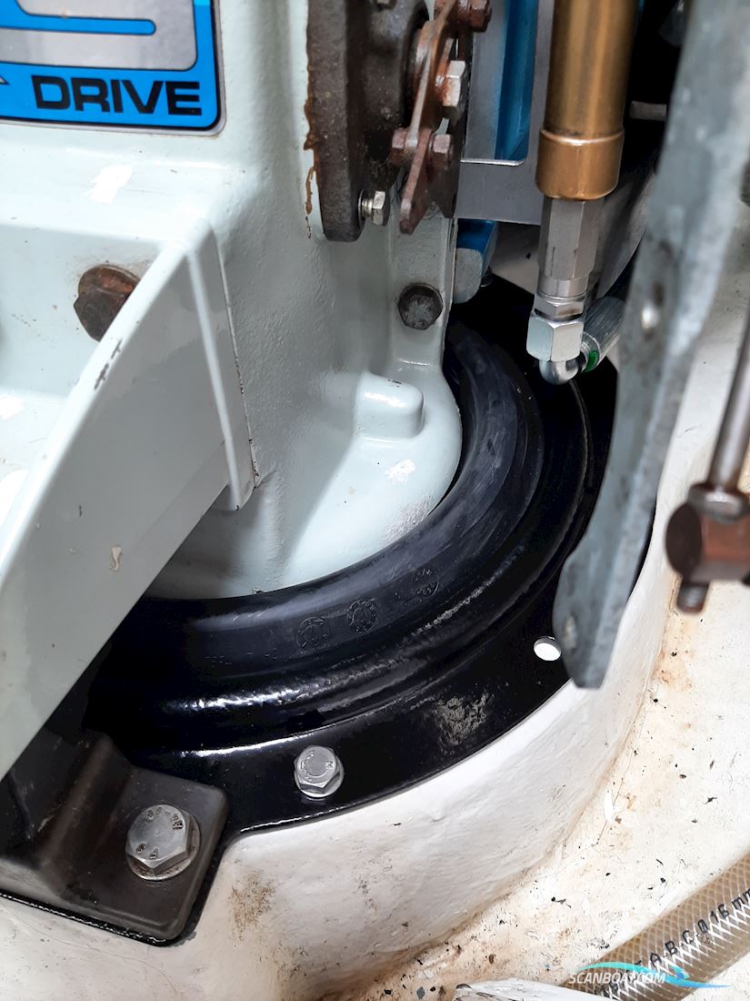 Senorita Helmsman - SOLGT