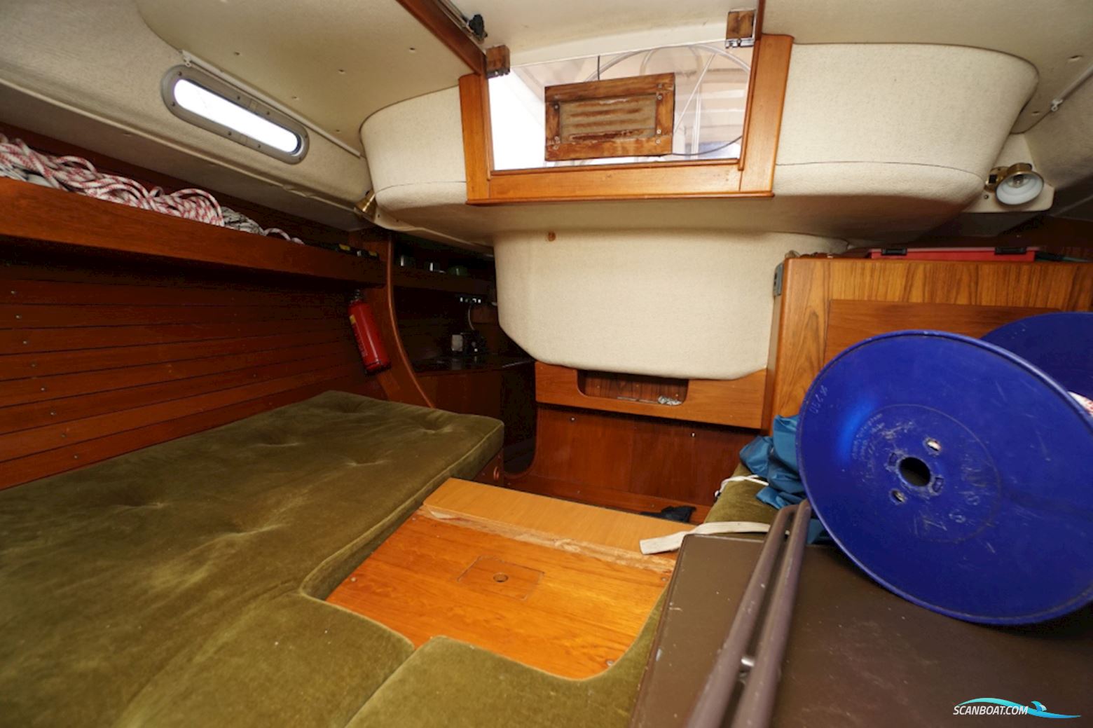 Sirena 38