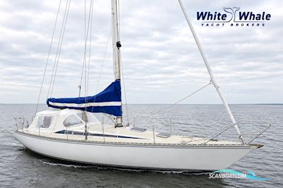 Sirena 38 Segelboot 1984, mit Bukh motor, Niederlande