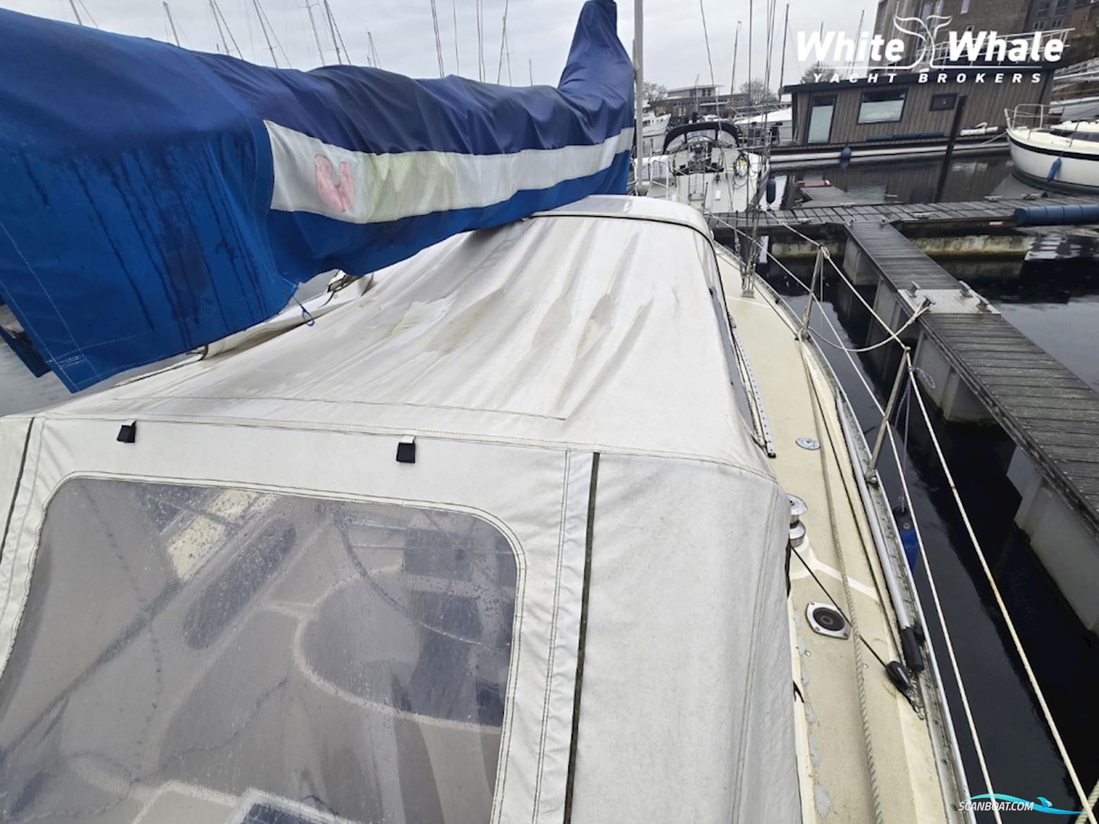 Sirena 38