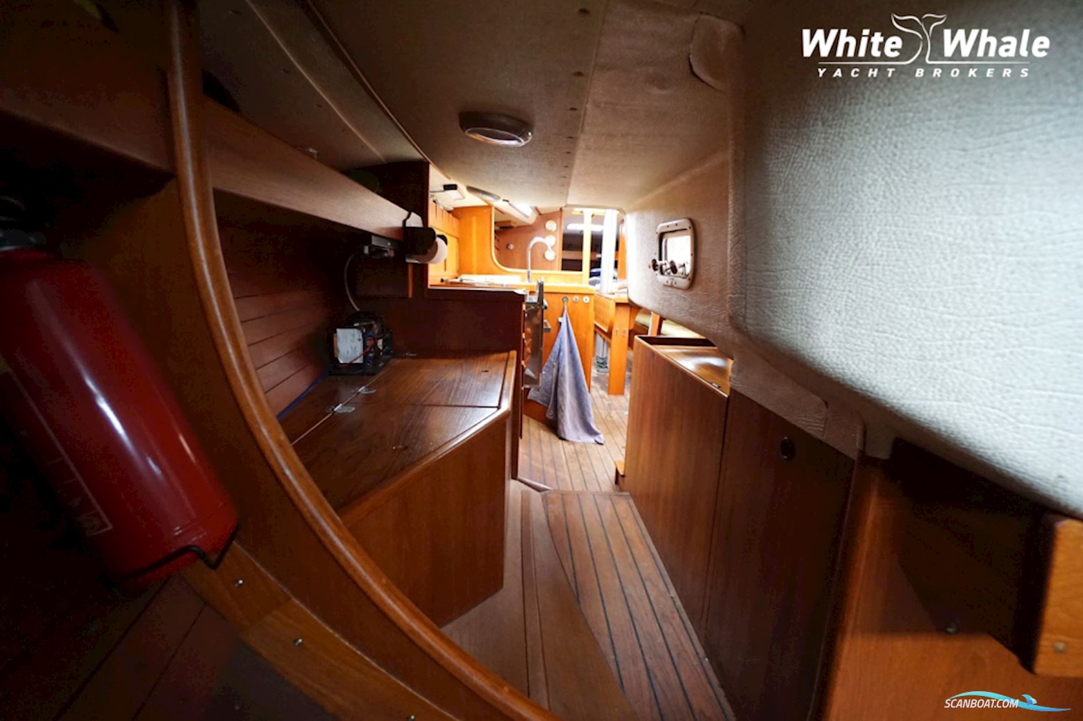 Sirena 38