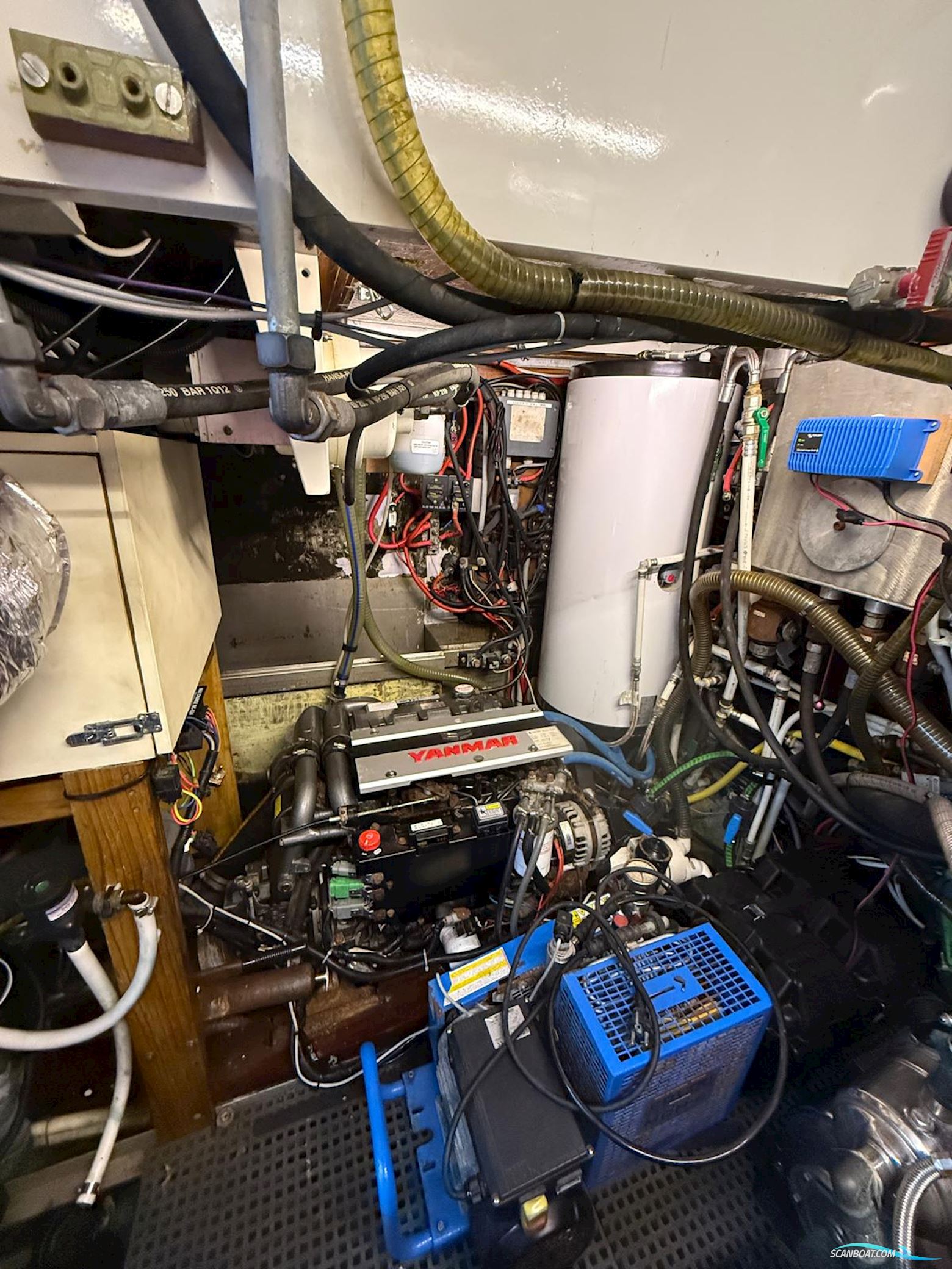 Sommerfeld Langfahrtyacht Kalb 55