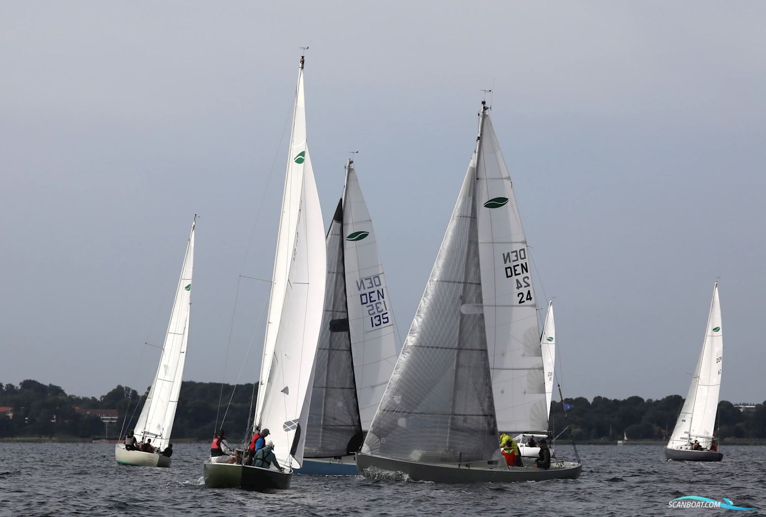 Spækhugger Racing DEN-24, Hansigne