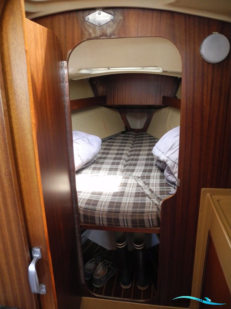 Spirit 29