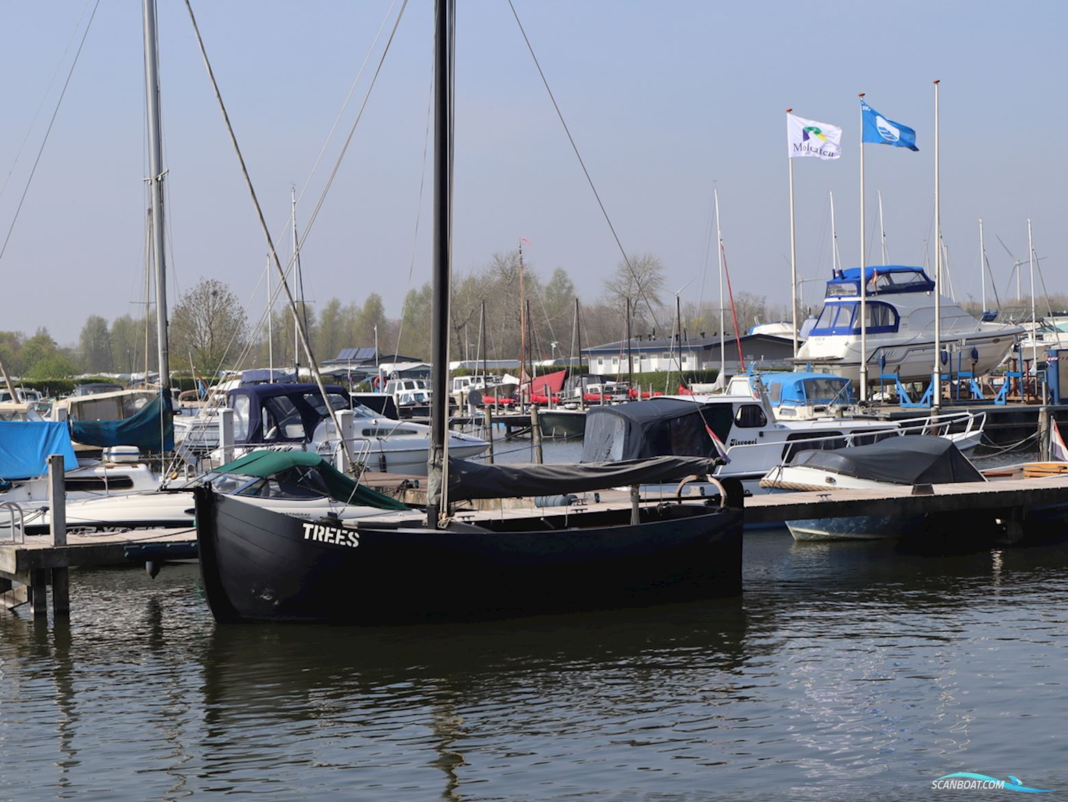 Staverse Jol Visserman Segelboot 2010, Niederlande