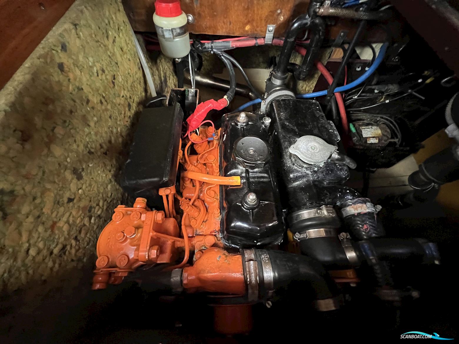 Storebro Havkrydser 31 Fod