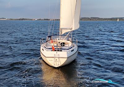 Storebro Royal 33 Segelboot 1979, mit Volvo Penta MD17C motor, Dänemark