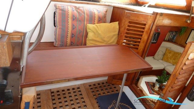Suncoast 48