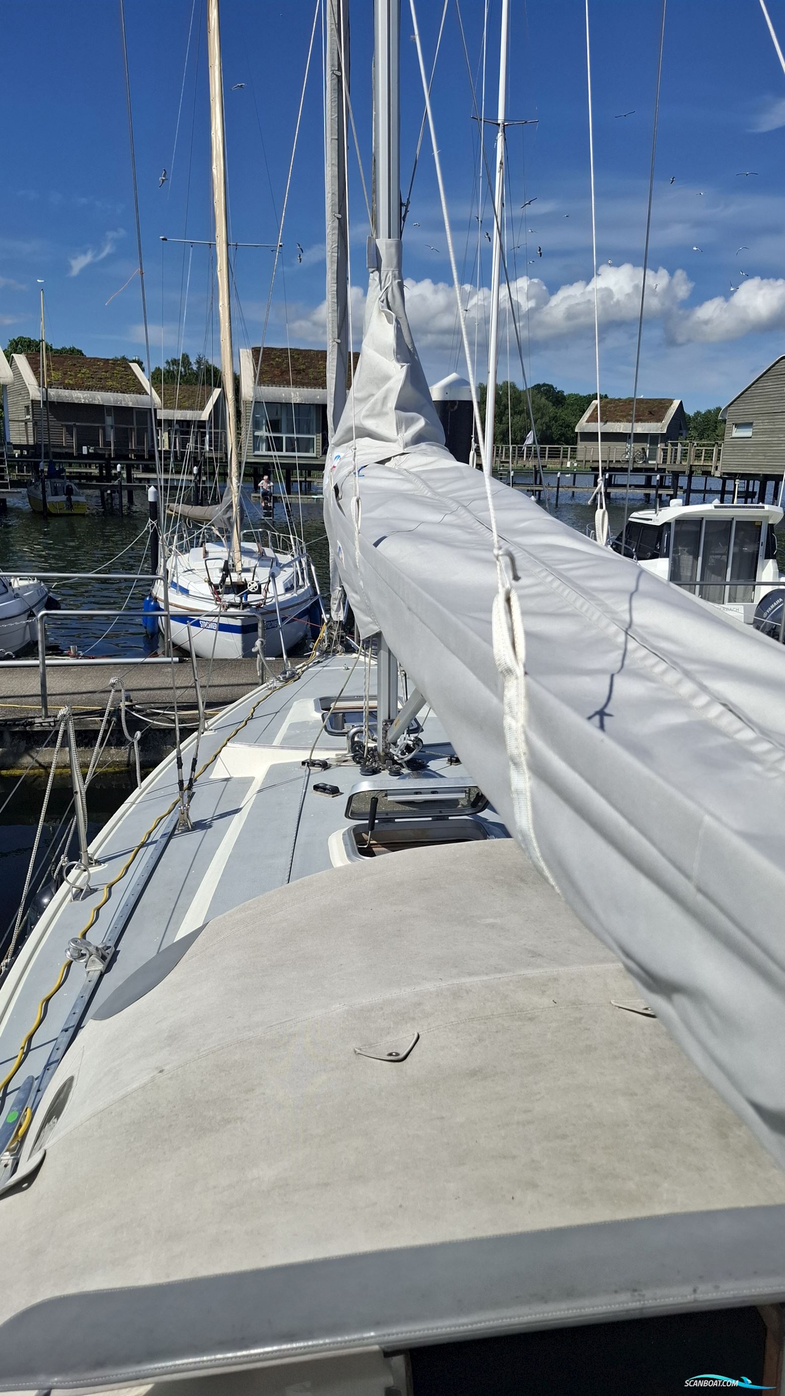 Sunwind 29