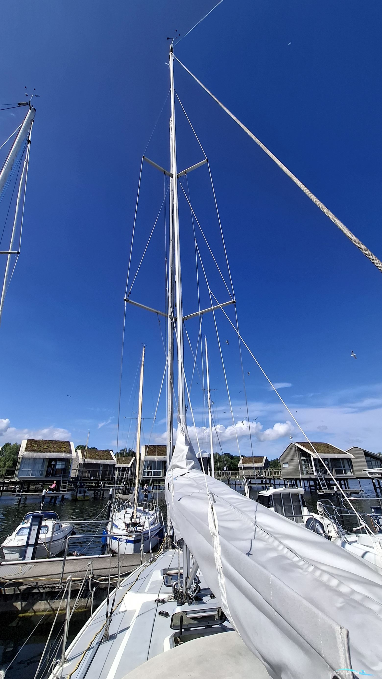 Sunwind 29