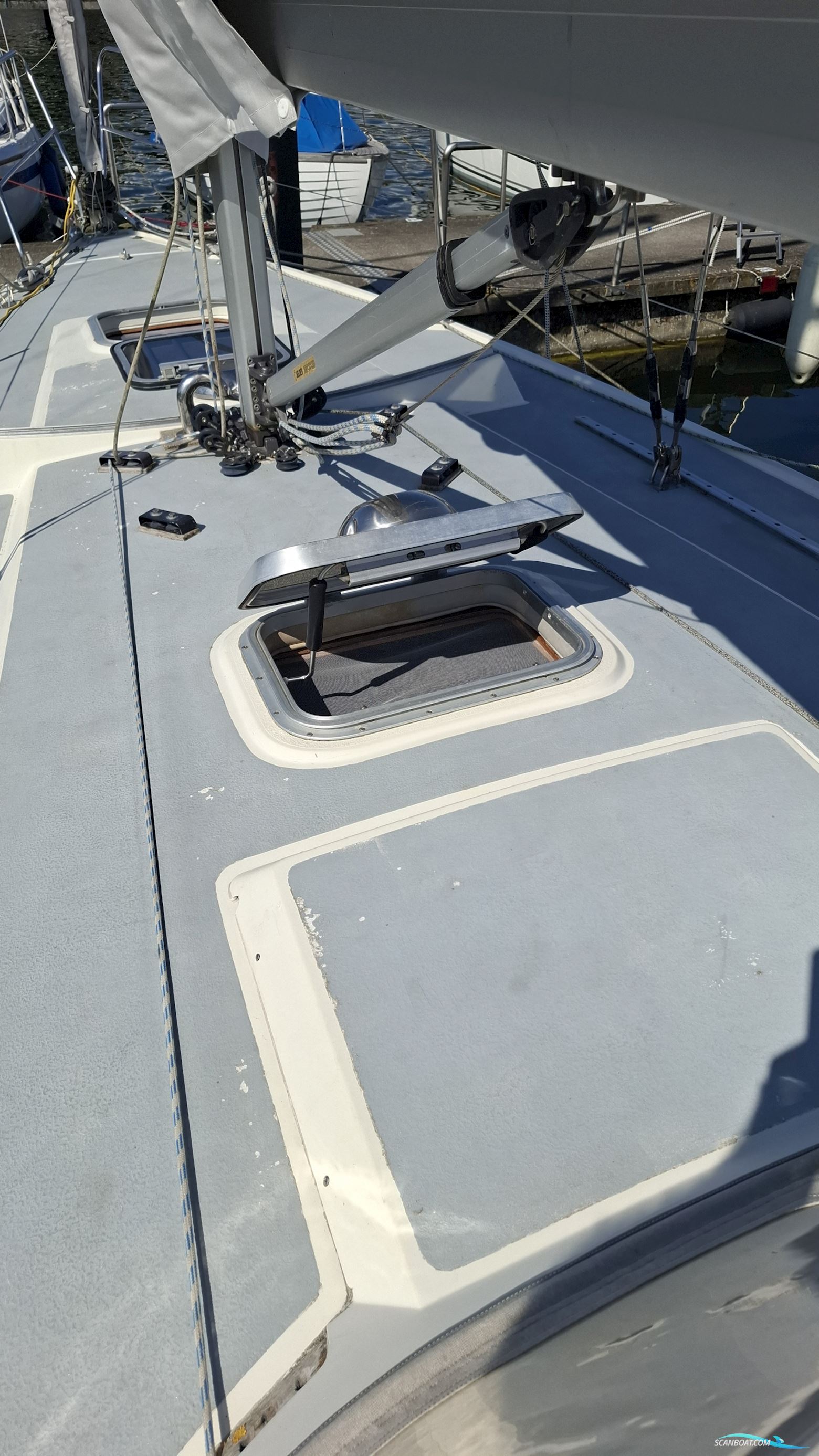 Sunwind 29