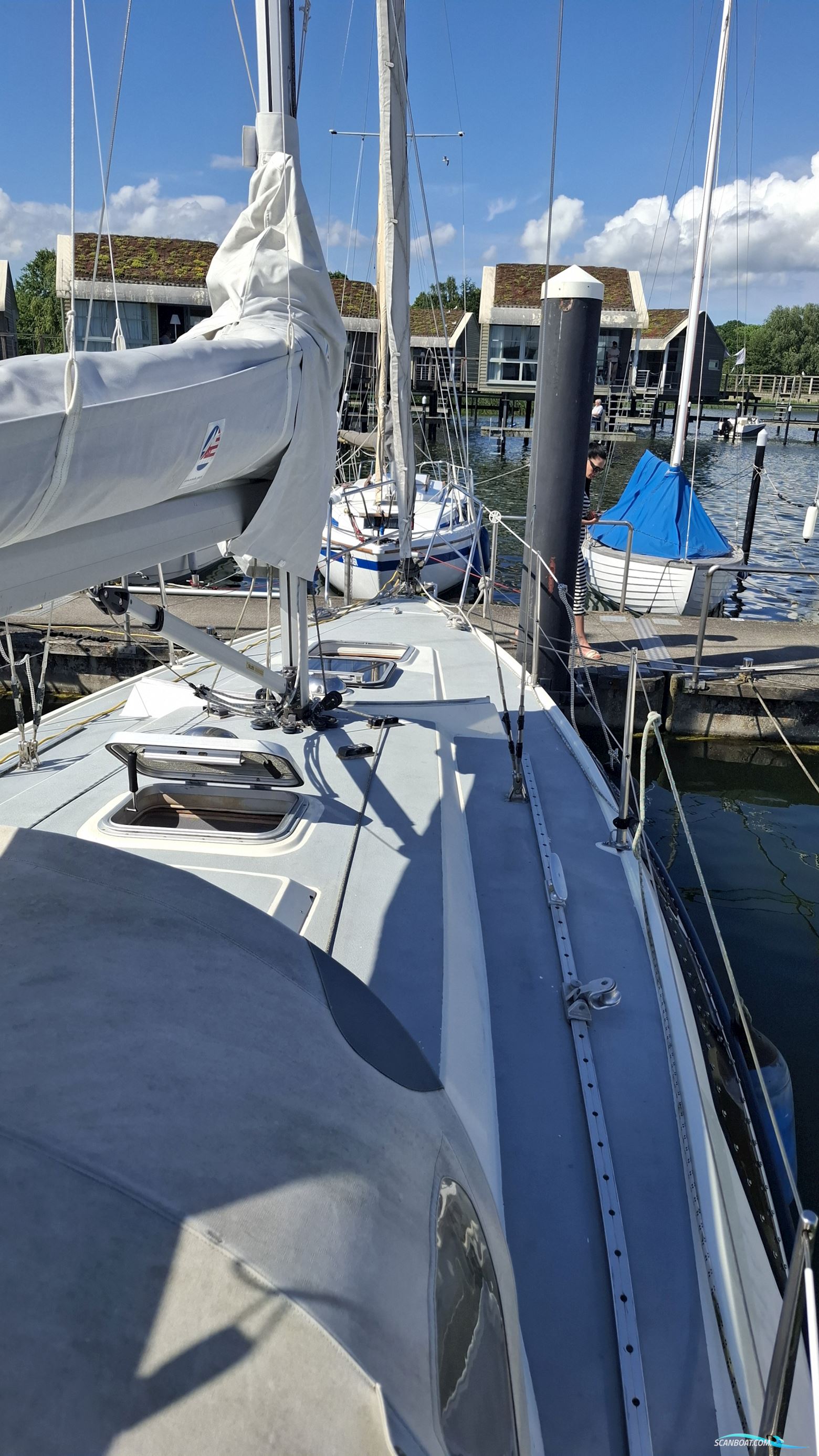 Sunwind 29