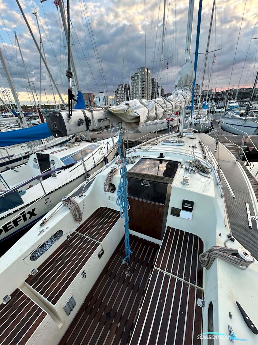 Sunwind 31