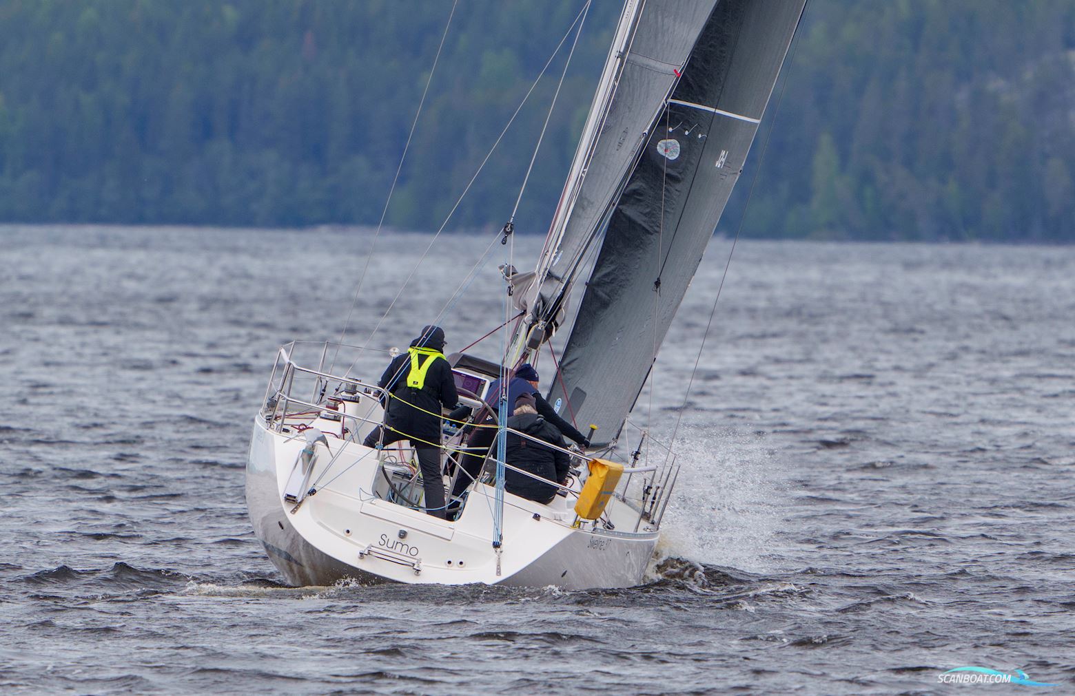 Sweline 37 - 2005/20