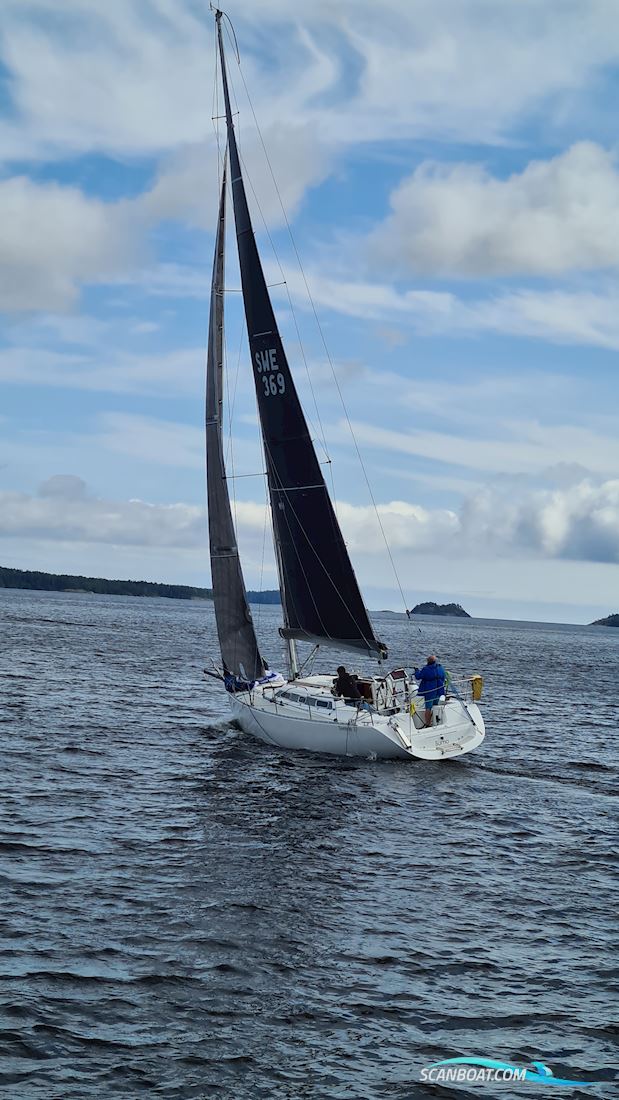 Sweline 37 - 2005/20