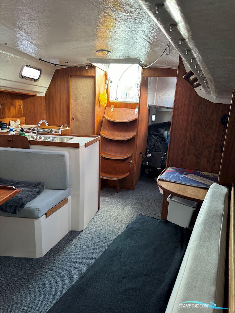 Sweline 37 - 2005/20