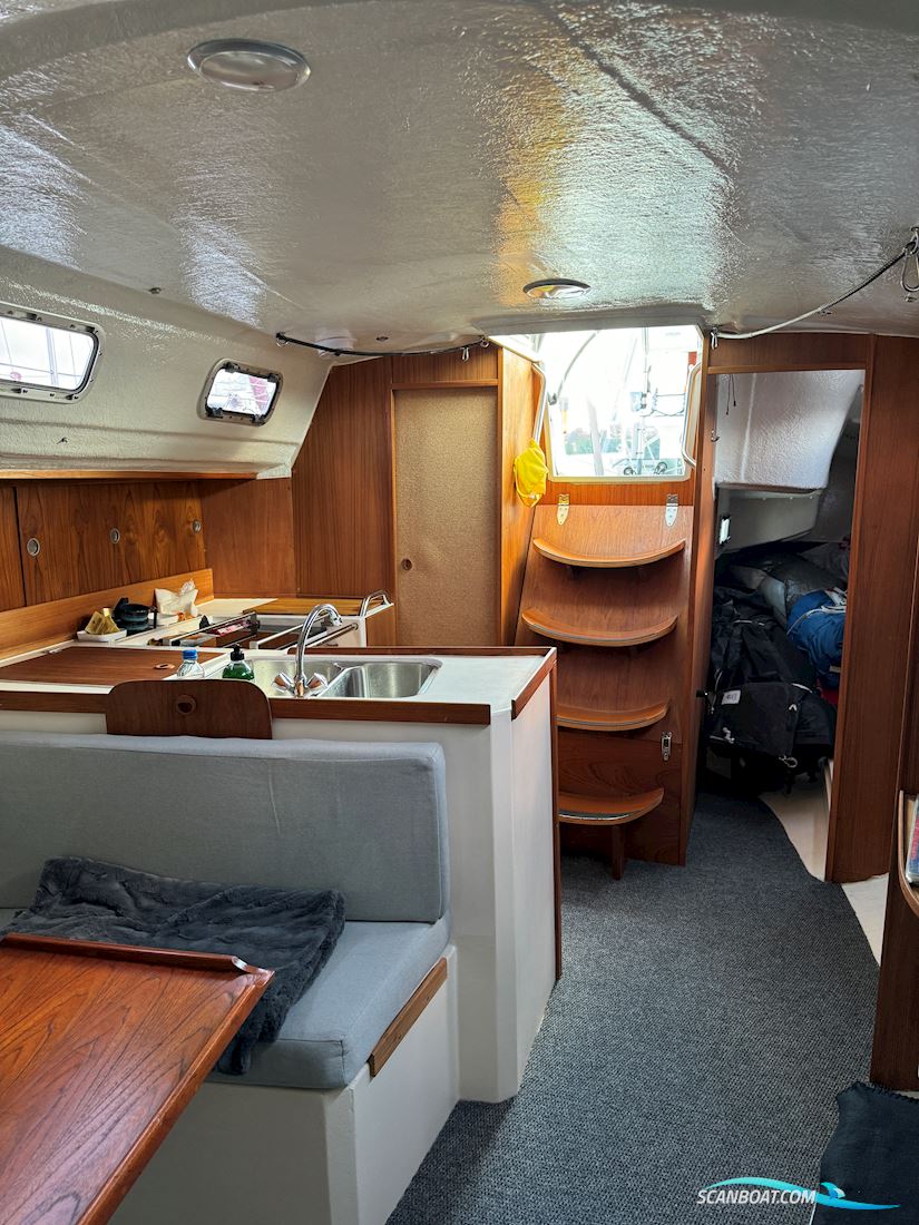 Sweline 37 - 2005/20