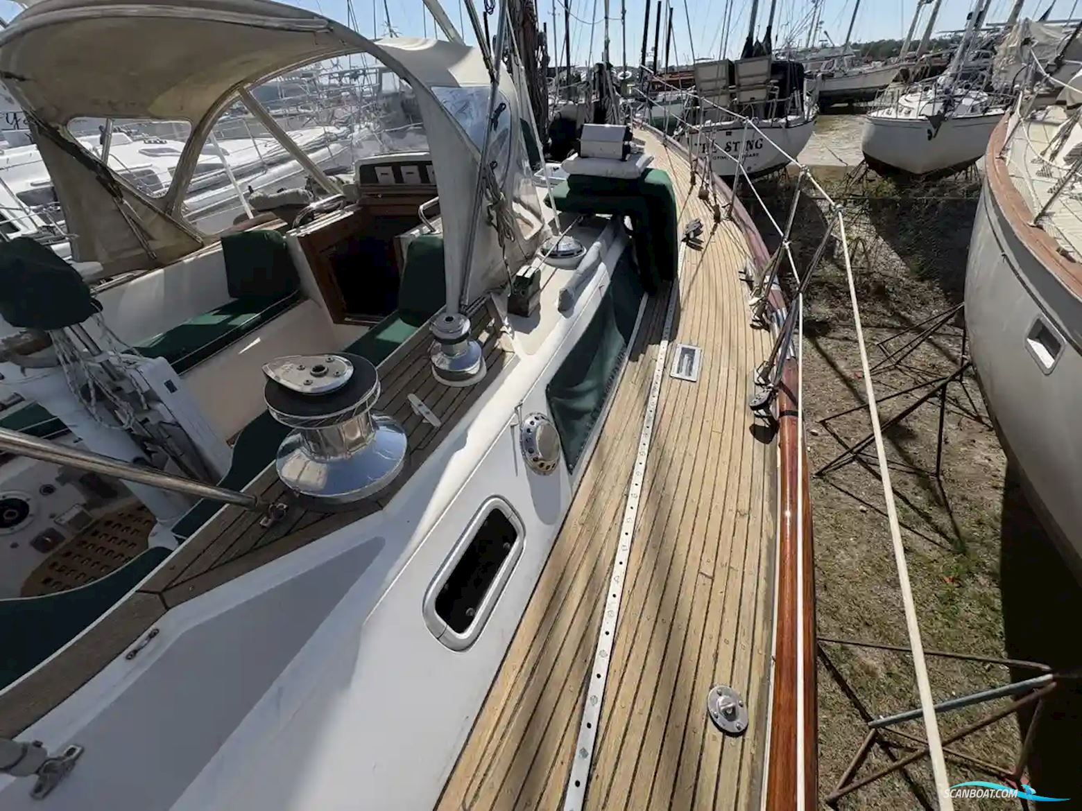 TASWELL 49