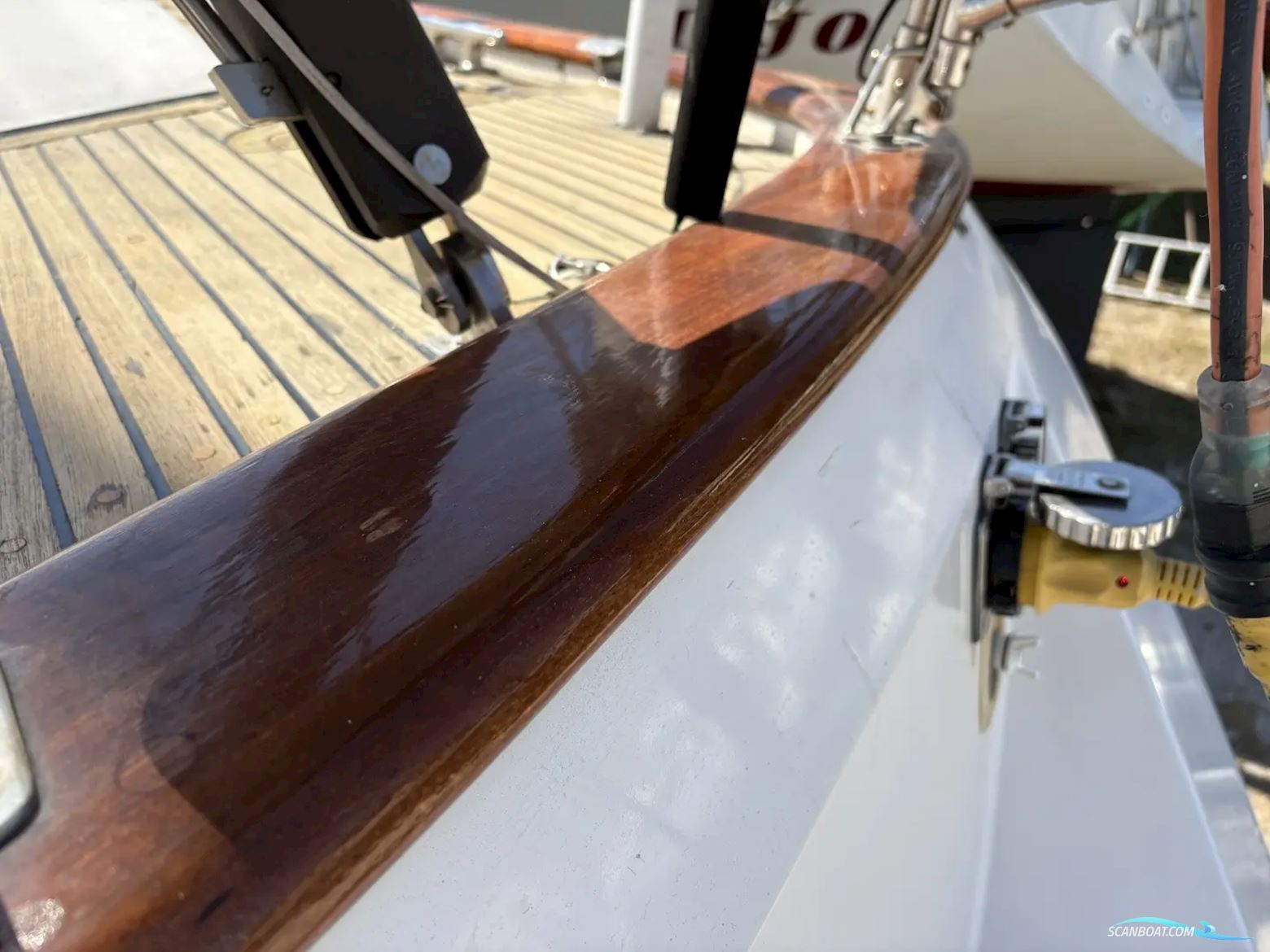 TASWELL 49