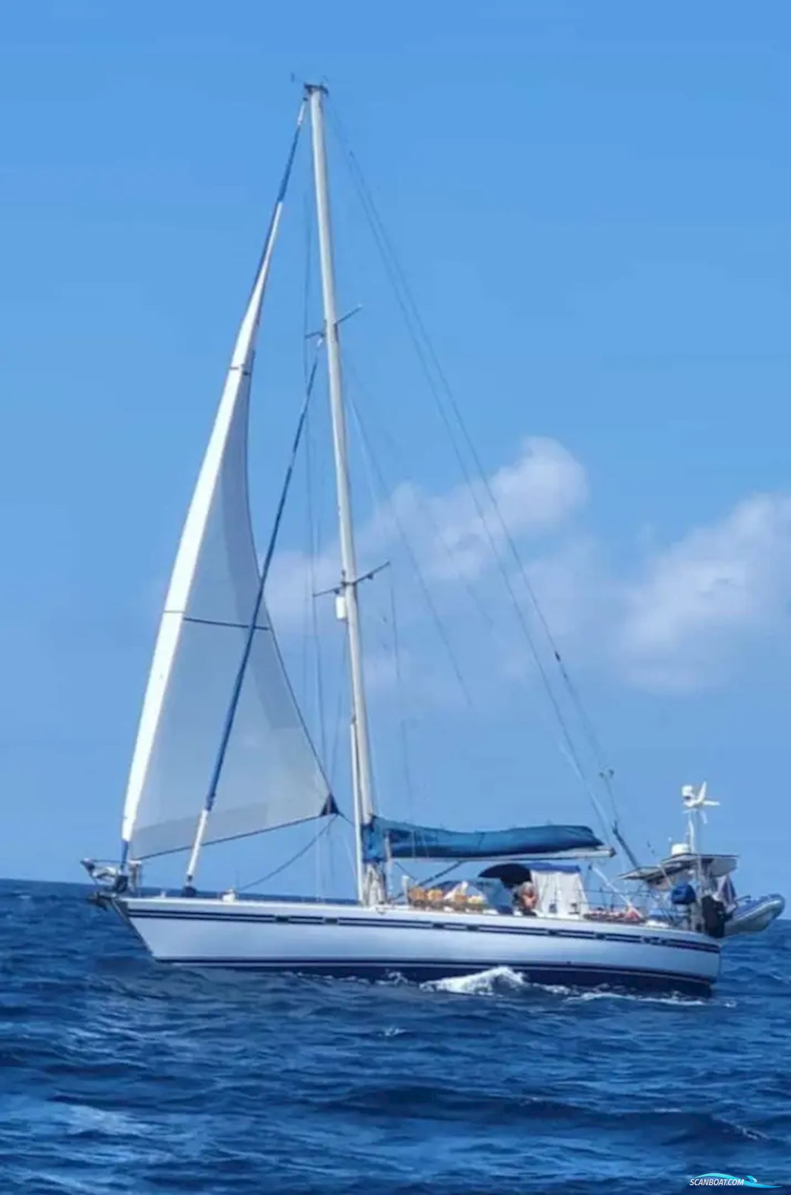 Tayana 55