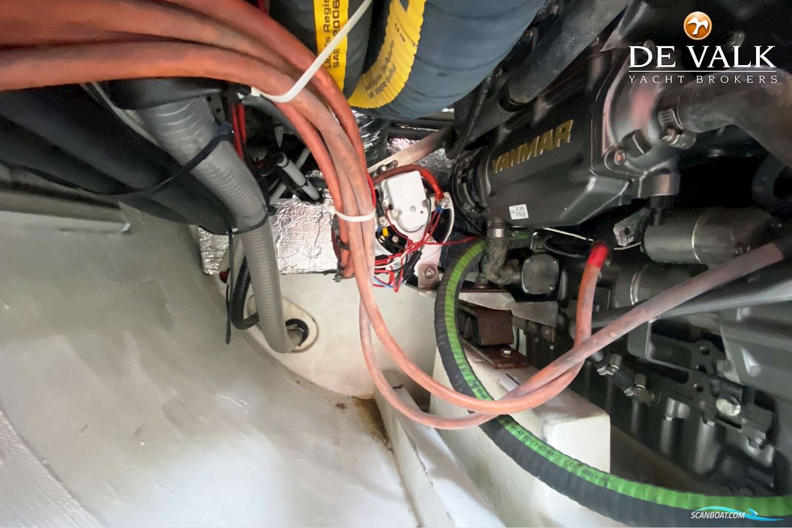 Taylor Davidsen TD547