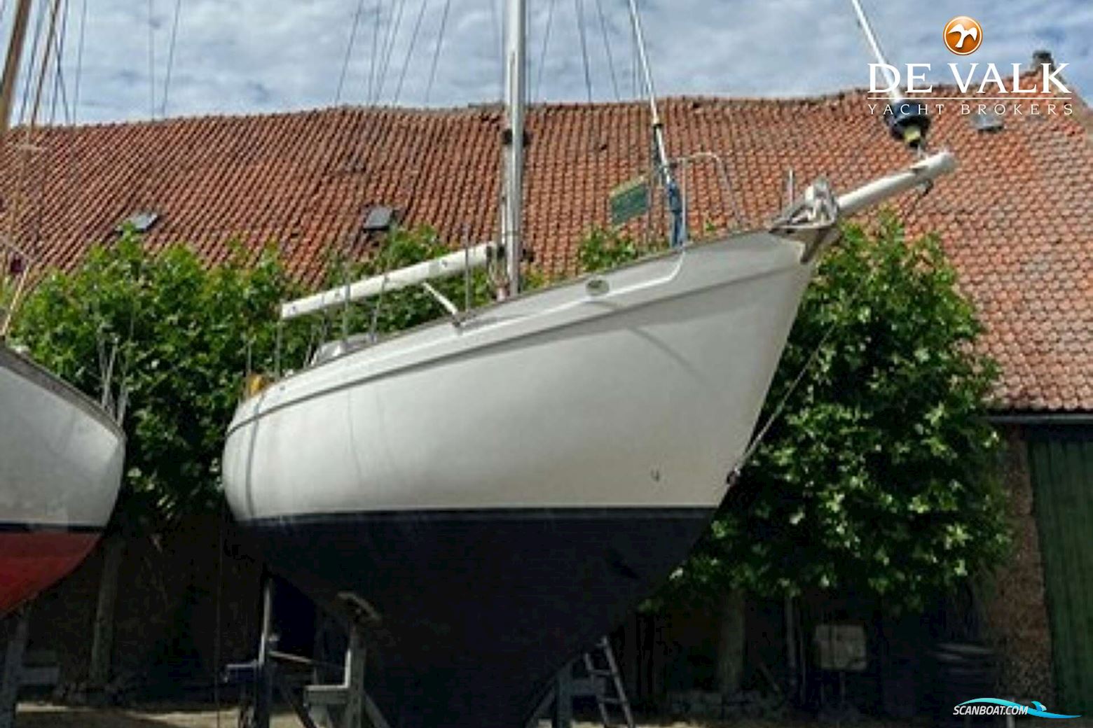 Tradewind 35